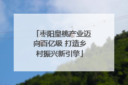 枣阳皇桃产业迈向百亿级 打造乡村振兴新引擎