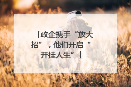 政企携手“放大招”，他们开启“开挂人生”