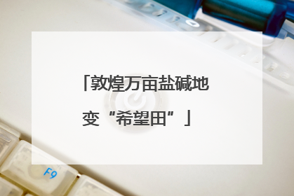 敦煌万亩盐碱地变“希望田”