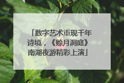 数字艺术重现千年诗境，《赊月洞庭》南湖夜游精彩上演