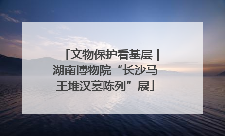 文物保护看基层｜湖南博物院“长沙马王堆汉墓陈列”展