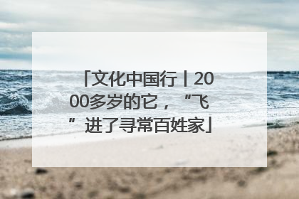 文化中国行丨2000多岁的它，“飞”进了寻常百姓家