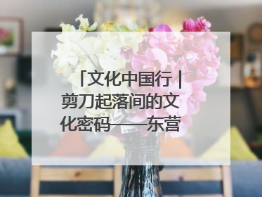 文化中国行｜剪刀起落间的文化密码——东营剪纸“剪”出非遗传承与现代生活的融合之道