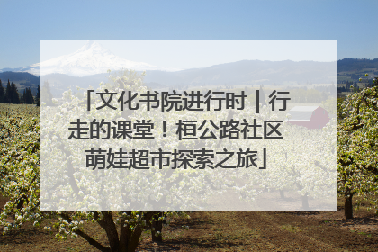 文化书院进行时｜行走的课堂！桓公路社区萌娃超市探索之旅