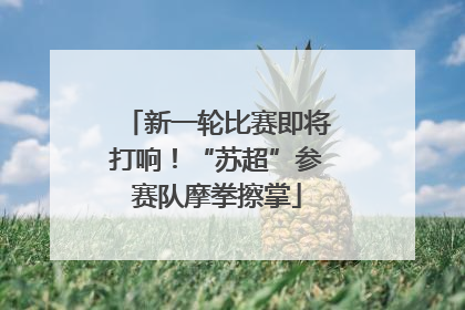 新一轮比赛即将打响！“苏超”参赛队摩拳擦掌