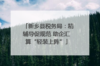 新乡县税务局：精辅导促规范 助企汇算“轻装上阵”