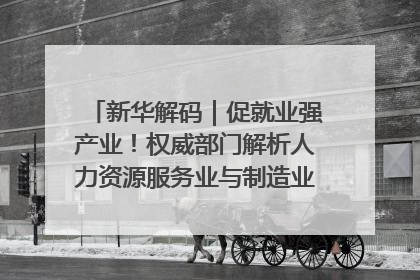 新华解码｜促就业强产业！权威部门解析人力资源服务业与制造业融合发展试点