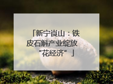 新宁崀山：铁皮石斛产业绽放“花经济”