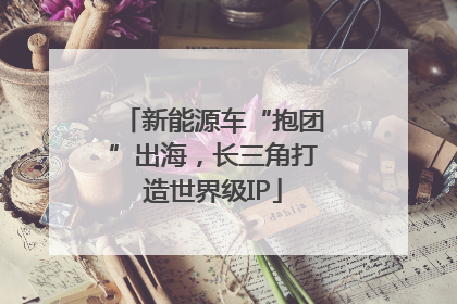 新能源车“抱团”出海，长三角打造世界级IP