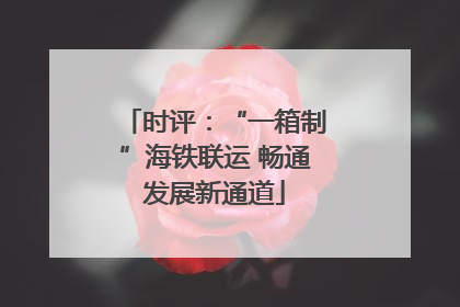 时评：“一箱制”海铁联运 畅通发展新通道
