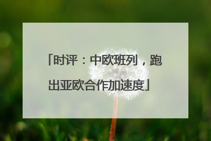 时评：中欧班列，跑出亚欧合作加速度