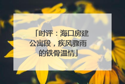 时评：海口房建公寓段，疾风骤雨的铁骨温情
