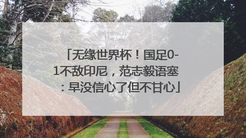 无缘世界杯！国足0-1不敌印尼，范志毅语塞：早没信心了但不甘心