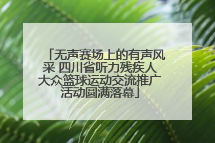 无声赛场上的有声风采 四川省听力残疾人大众篮球运动交流推广活动圆满落幕