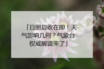 日照夏收在即！天气影响几何？气象台权威解读来了