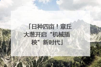 日种四亩！章丘大葱开启“机械插秧”新时代