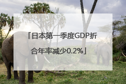 日本第一季度GDP折合年率减少0.2%