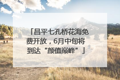 昌平七孔桥花海免费开放，6月中旬将到达“颜值巅峰”