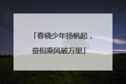 春晓少年扬帆起，奋楫乘风破万里