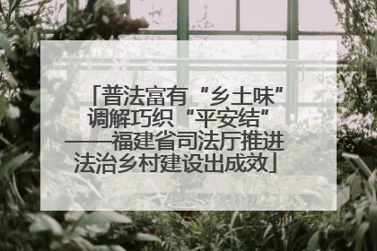普法富有“乡土味” 调解巧织“平安结”——福建省司法厅推进法治乡村建设出成效