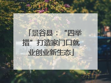 景谷县：“四举措”打造家门口就业创业新生态