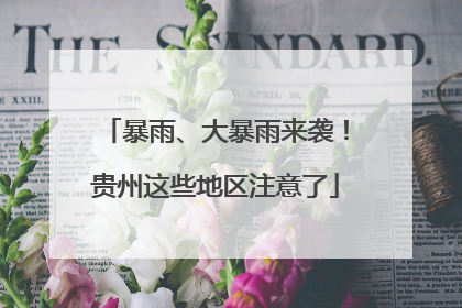 暴雨、大暴雨来袭！贵州这些地区注意了