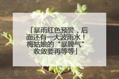 暴雨红色预警，后面还有一大波雨水！梅姑娘的“暴脾气”收敛要再等等
