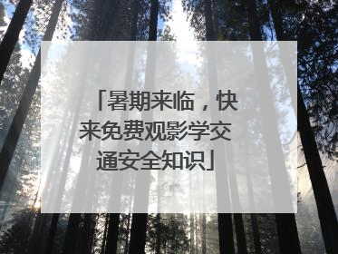暑期来临，快来免费观影学交通安全知识