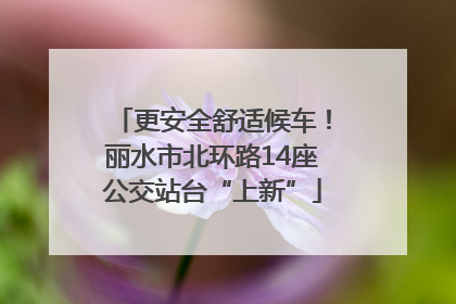 更安全舒适候车！丽水市北环路14座公交站台“上新”