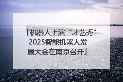 机器人上演“才艺秀” 2025智能机器人发展大会在南京召开
