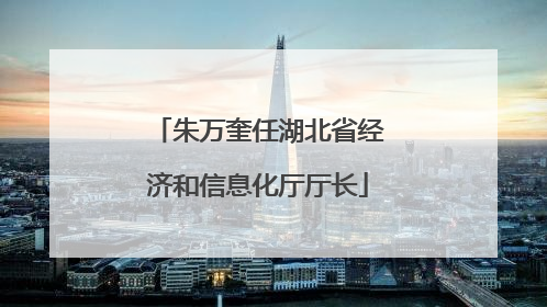 朱万奎任湖北省经济和信息化厅厅长