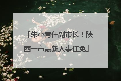朱小青任副市长！陕西一市最新人事任免