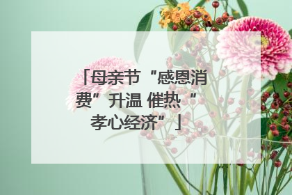 母亲节“感恩消费”升温 催热“孝心经济”