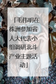 毛伟明在株洲参加省人大代表小组调研北斗产业主题活动