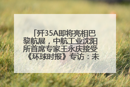 歼35A即将亮相巴黎航展，中航工业沈阳所首席专家王永庆接受《环球时报》专访：未来数量可以有很多