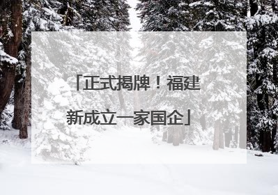 正式揭牌！福建新成立一家国企