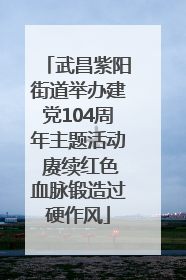 武昌紫阳街道举办建党104周年主题活动 赓续红色血脉锻造过硬作风