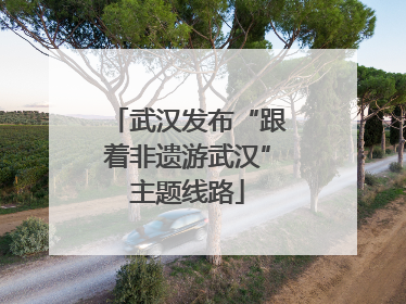 武汉发布“跟着非遗游武汉”主题线路