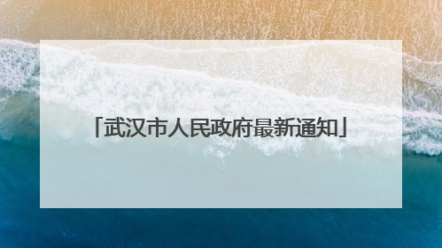 武汉市人民政府最新通知