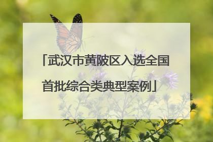武汉市黄陂区入选全国首批综合类典型案例