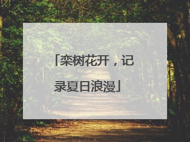 栾树花开，记录夏日浪漫
