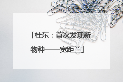 桂东：首次发现新物种——宽距兰