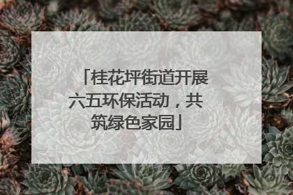 桂花坪街道开展六五环保活动，共筑绿色家园