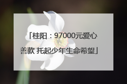 桂阳：97000元爱心善款 托起少年生命希望