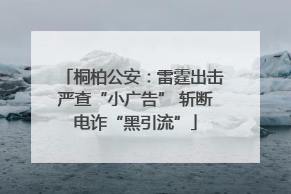 桐柏公安：雷霆出击严查“小广告” 斩断电诈“黑引流”