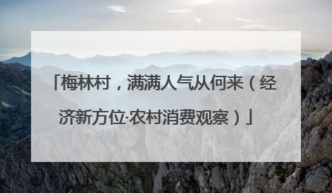 梅林村，满满人气从何来（经济新方位·农村消费观察）