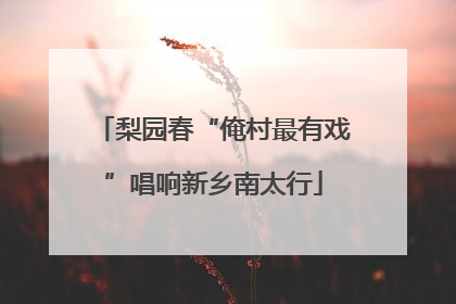 梨园春“俺村最有戏”唱响新乡南太行