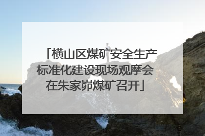 横山区煤矿安全生产标准化建设现场观摩会在朱家峁煤矿召开