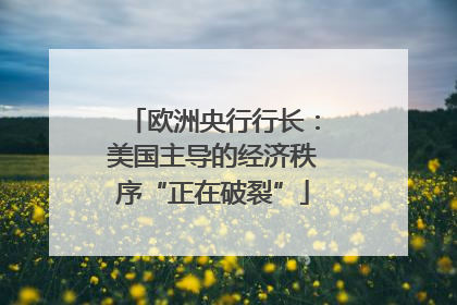 欧洲央行行长：美国主导的经济秩序“正在破裂”