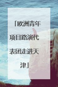 欧洲青年项目路演代表团走进天津